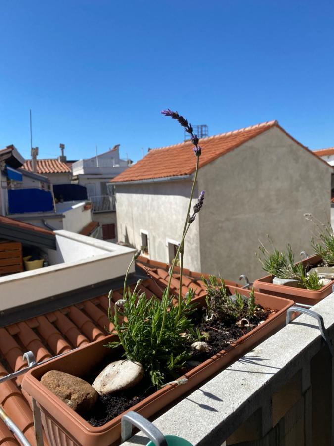 Lucy Apartment Piran-Punta Dış mekan fotoğraf